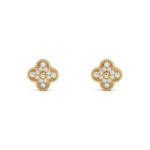 KLEEBLATT | Gold Ohrringe Prestige