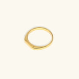 Sasha Geometrischer Ring