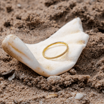 Zarra Pavé Ring in Gold