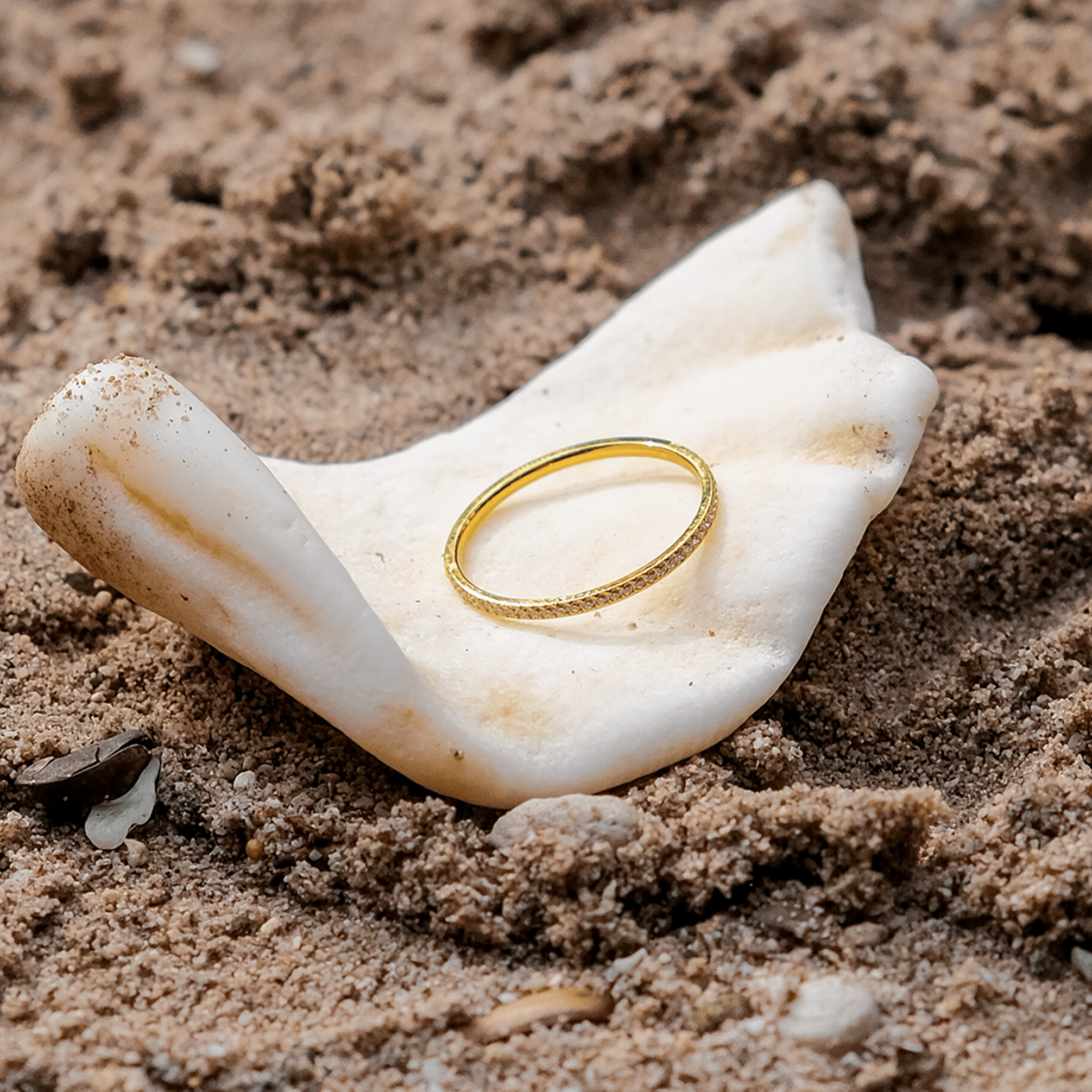 Zarra Pavé Ring in Gold
